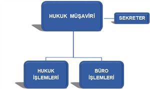 Teşkilat Şeması